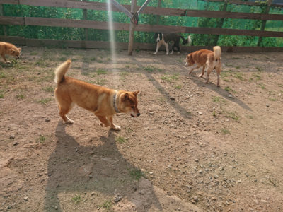 f:id:roukenhome-ann:20190818213541j:plain