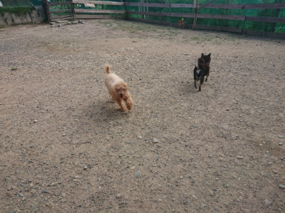 f:id:roukenhome-ann:20190818213556j:plain