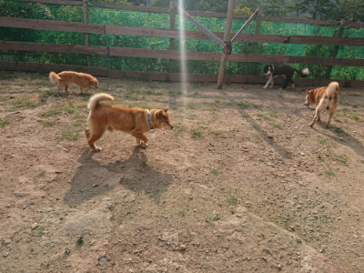 f:id:roukenhome-ann:20190818213650j:plain