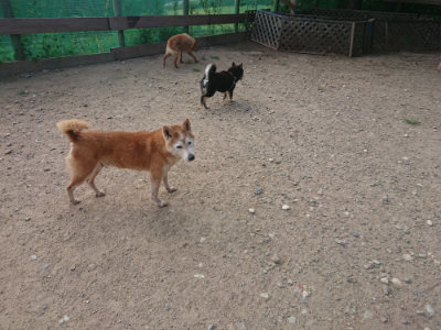 f:id:roukenhome-ann:20190818213705j:plain