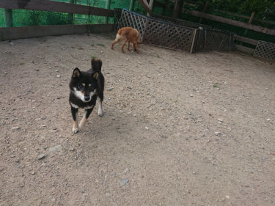f:id:roukenhome-ann:20190818213711j:plain