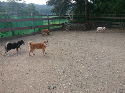 f:id:roukenhome-ann:20190818213737j:plain
