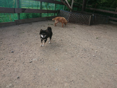 f:id:roukenhome-ann:20190818213806j:plain