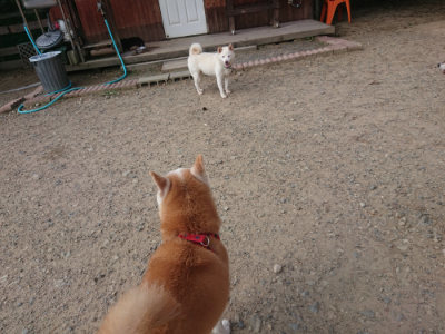 f:id:roukenhome-ann:20190818213811j:plain
