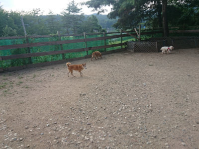 f:id:roukenhome-ann:20190818213823j:plain