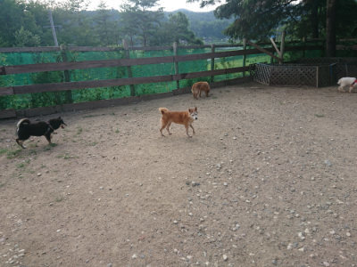 f:id:roukenhome-ann:20190818213833j:plain