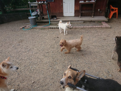 f:id:roukenhome-ann:20190818213856j:plain