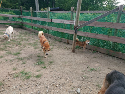 f:id:roukenhome-ann:20190819045648j:plain