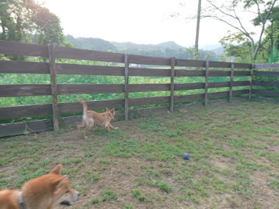 f:id:roukenhome-ann:20190819045656j:plain
