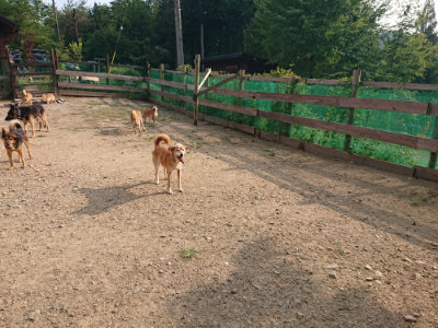 f:id:roukenhome-ann:20190819045708j:plain