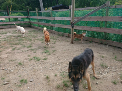 f:id:roukenhome-ann:20190819045845j:plain