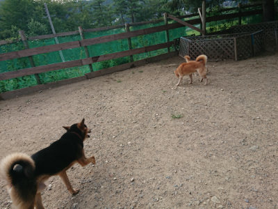 f:id:roukenhome-ann:20190819045900j:plain