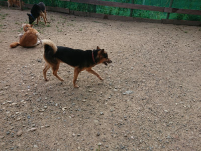 f:id:roukenhome-ann:20190819045917j:plain
