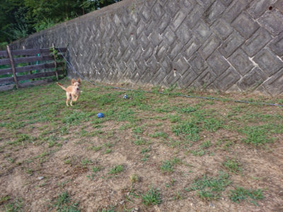 f:id:roukenhome-ann:20190819045923j:plain
