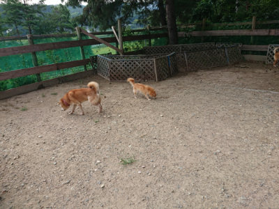 f:id:roukenhome-ann:20190819045945j:plain