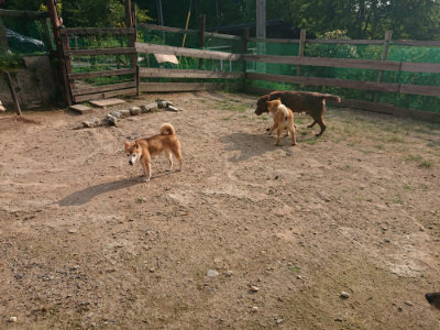 f:id:roukenhome-ann:20190819050013j:plain