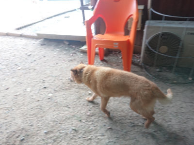 f:id:roukenhome-ann:20190819050023j:plain