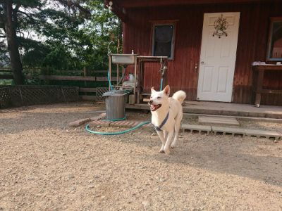 f:id:roukenhome-ann:20190819050237j:plain