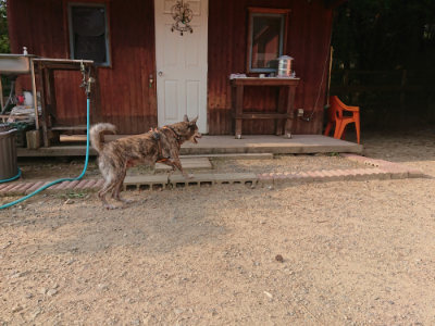 f:id:roukenhome-ann:20190819050242j:plain