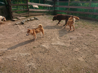 f:id:roukenhome-ann:20190819050316j:plain
