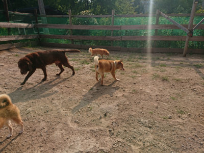 f:id:roukenhome-ann:20190819050320j:plain