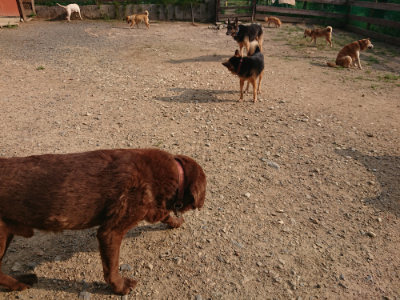 f:id:roukenhome-ann:20190819050333j:plain