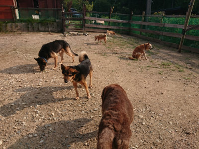 f:id:roukenhome-ann:20190819050353j:plain