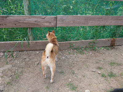 f:id:roukenhome-ann:20190819050456j:plain