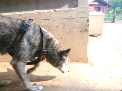 f:id:roukenhome-ann:20190819050507j:plain