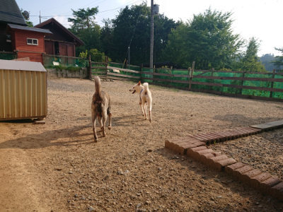f:id:roukenhome-ann:20190819050611j:plain