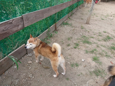 f:id:roukenhome-ann:20190819050626j:plain