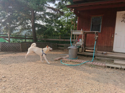 f:id:roukenhome-ann:20190819050631j:plain