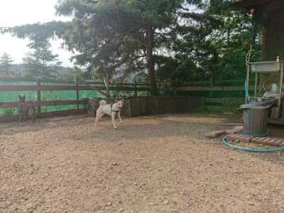 f:id:roukenhome-ann:20190819050650j:plain