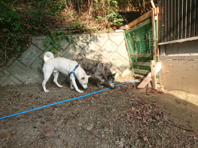f:id:roukenhome-ann:20190819050656j:plain