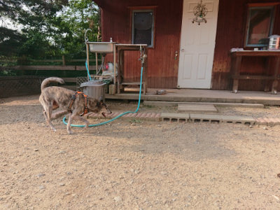 f:id:roukenhome-ann:20190819051301j:plain
