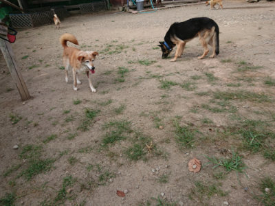 f:id:roukenhome-ann:20190819051509j:plain