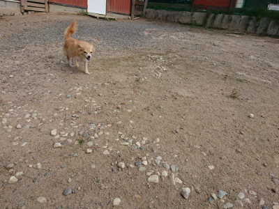 f:id:roukenhome-ann:20190819051605j:plain