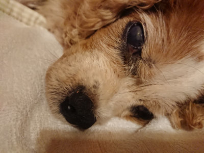f:id:roukenhome-ann:20190819051614j:plain