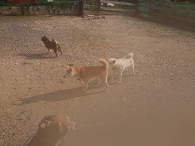f:id:roukenhome-ann:20190819051626j:plain