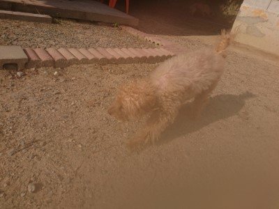 f:id:roukenhome-ann:20190819051634j:plain
