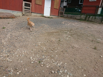 f:id:roukenhome-ann:20190819051702j:plain