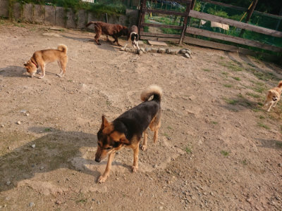 f:id:roukenhome-ann:20190819051825j:plain