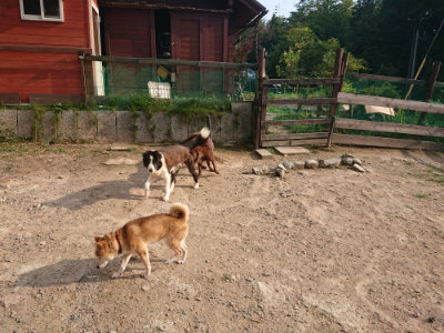 f:id:roukenhome-ann:20190819051830j:plain