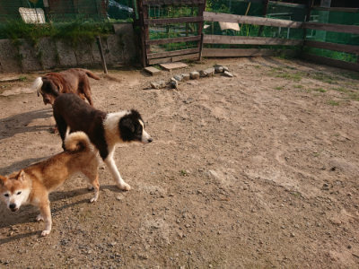 f:id:roukenhome-ann:20190819051835j:plain