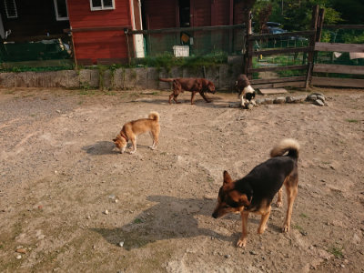 f:id:roukenhome-ann:20190819051840j:plain