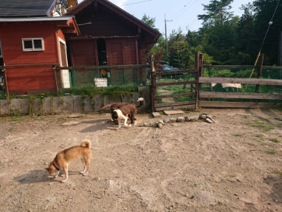 f:id:roukenhome-ann:20190819051847j:plain