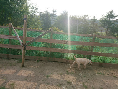 f:id:roukenhome-ann:20190819051856j:plain