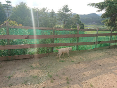 f:id:roukenhome-ann:20190819051901j:plain