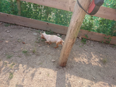 f:id:roukenhome-ann:20190819051917j:plain