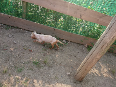 f:id:roukenhome-ann:20190819051921j:plain